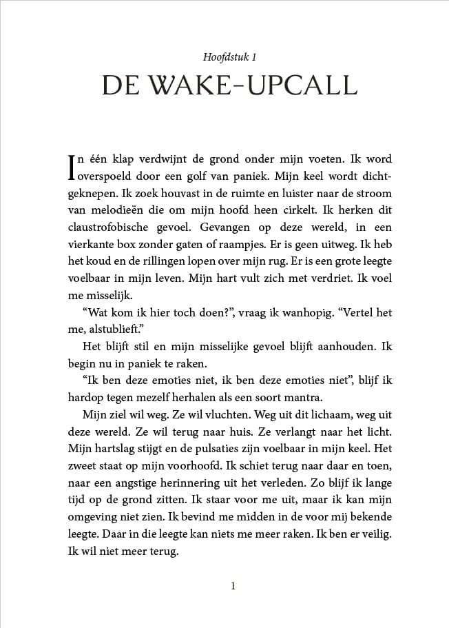 Boek 'Grondingsangst' - Afbeelding 3