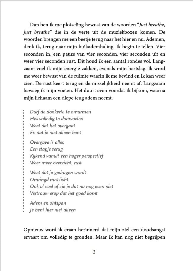 Boek 'Grondingsangst' - Afbeelding 4